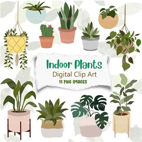 Indoor Plants Clipart Gardening House Plants Png Vector Etsy Ireland