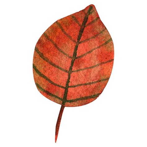 25 Fall Leaf Clip Art Print Or Download At