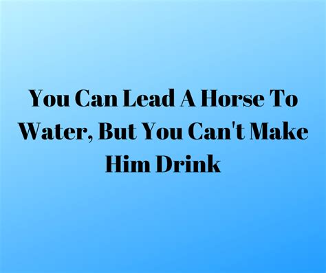 You Can Lead A Horse To Water But You Cant Make Him Drink Dinks Finance
