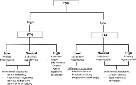 Figure 1 From Laboratory Testing In Thyroid Conditions Pitfalls And