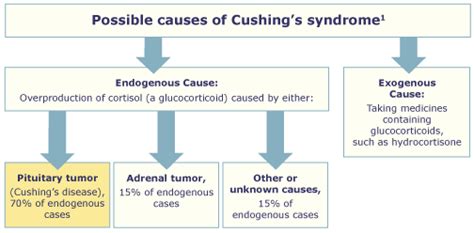 Cushings Syndrome Case Study Physiopedia