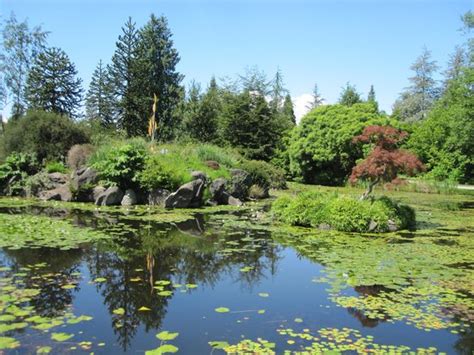 Vandusen Botanical Garden Vancouver Lo Que Se Debe Saber Antes De