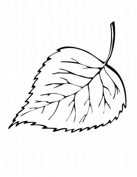 Plus they are so good for kids as if you are looking for even more free printable, simple coloring pages for kids, you will love these resources Free Printable Leaf Coloring Pages For Kids | Leaf ...