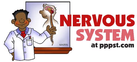 Free Powerpoint Presentations About Human Nervous System For Kids