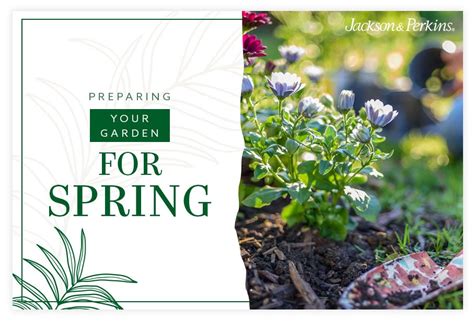 How To Prepare Your Garden For Spring With Video