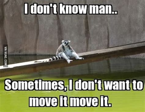 Sometimes I Dont Want To Move It Move It Funny Animal Pictures