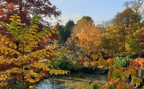 Birminghams Botanical Gardens Are A Wonderful Spot For A Wander