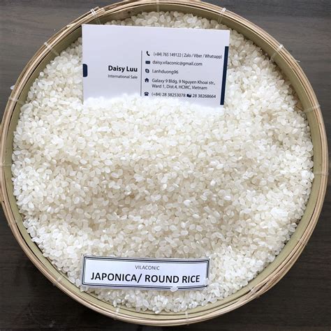 Vietnam Japonica Rice Round Grain Rice 84765149122 Buy Vietnamese