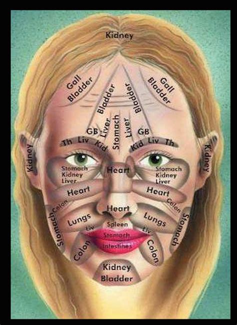 Article And Picture Of Pressure Points On The Face Article Lets You Know