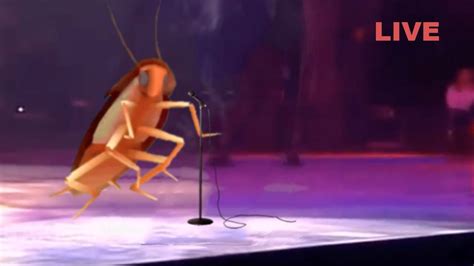 dancing roach live in concert youtube