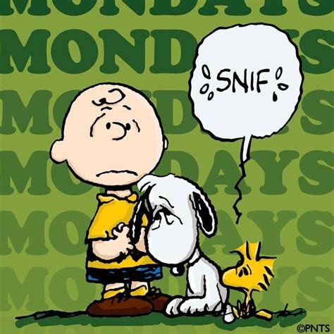 43 Best Images About Snoopy Days Of The Week On Pinterest