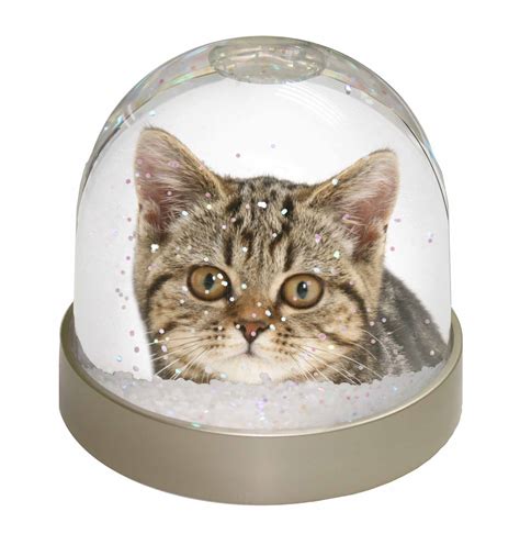 Our favorite litters were easy to scoop, helped control odors. Face of Brown Tabby Cat Photo Snow Globe Waterball ...