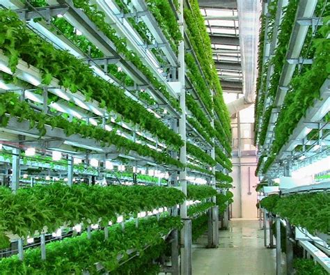 Veggie Factory Worlds First Vertical Farm Run Entirely By Robots