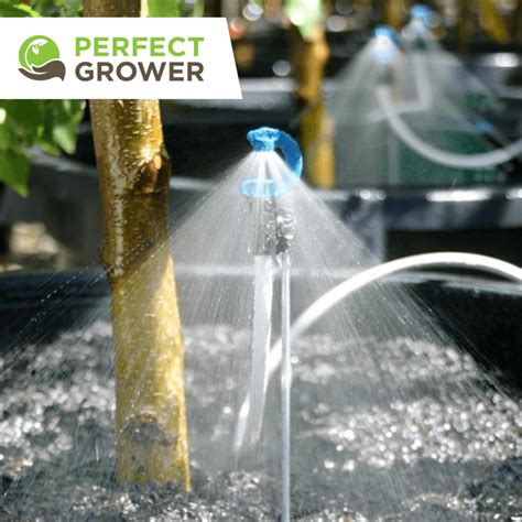 What Is Drip Feeding Perfect Grower Knowledge Database