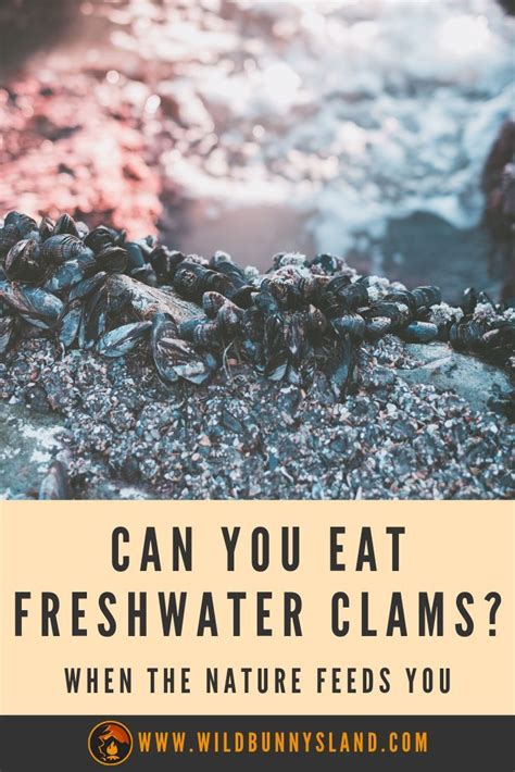 Maybe you would like to learn more about one of these? Did you already ask yourself if you can eat freshwater ...