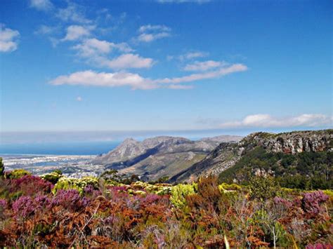Small Nature Reserves In Cape Town Cape Town Nature Reserves