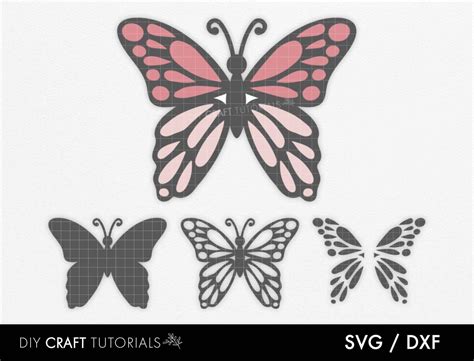 Butterfly Svg Butterfly Vector Vinyl Decal Butterfly Svg Design