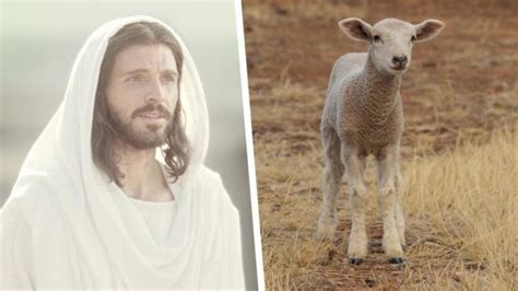 Video Fascinating Symbolism Of Christ As The Passover Lamb Meridian