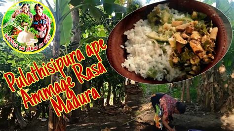 Pulathisipura Ape Ammage Rasa Moms Kichan Wetakolu Curry Village