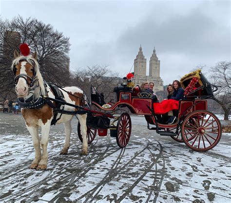 Discover The Magic Of Nyc Horse And Carriage Rides In Central Park Shokri