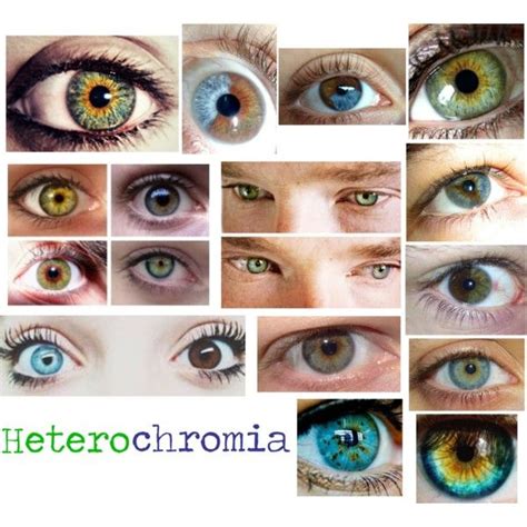 Heterochromia A Beautiful Mutation Polyvore Hazel Green Eyes