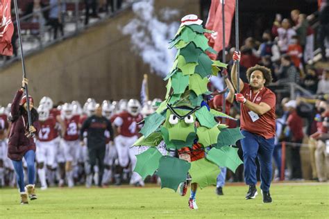Stanford Tree Mascot Suspended After It Opened A Stanford Hates Fun