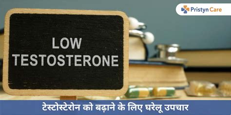 Low Testosterone Meaning In Hindi Sukses Matematika