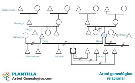 Top Imagen Diagramas De Arboles Genealogicos Abzlocal Mx