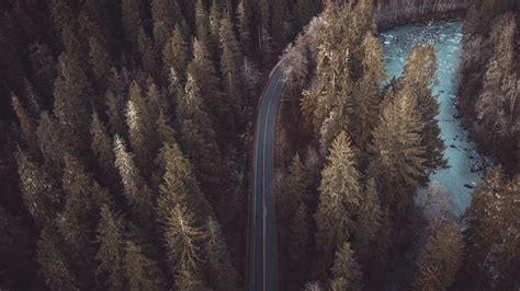 Download Wallpaper 2048x1152 Forest Road Aerial View Pines Trees