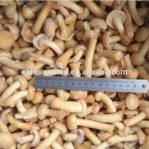 Iqf Frozen New Season Nameko Mushroomschina Price Supplier 21food