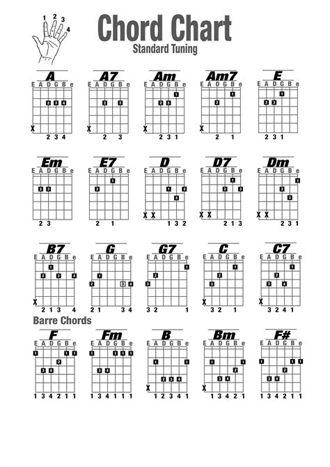 How To Play Basic Guitar Chords For Beginners Pdf Basic Guitar Chords
