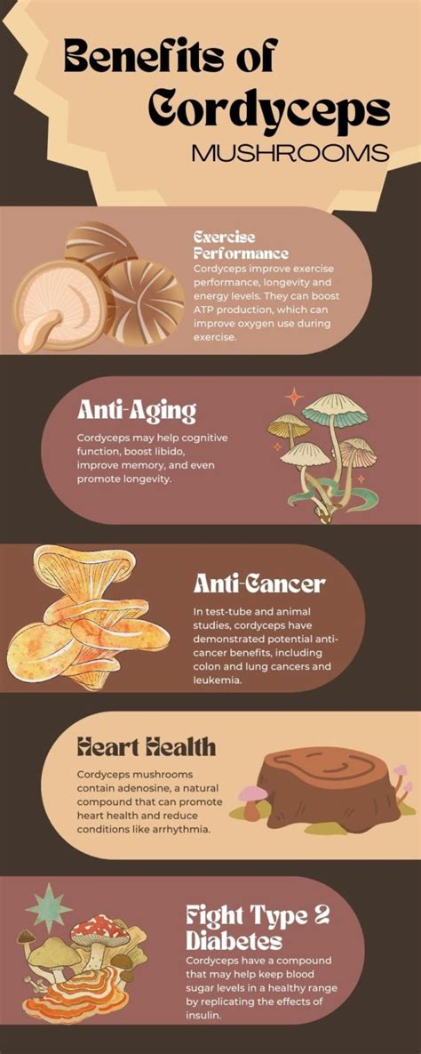 7 Cordyceps Mushroom Benefits The Top Supplements