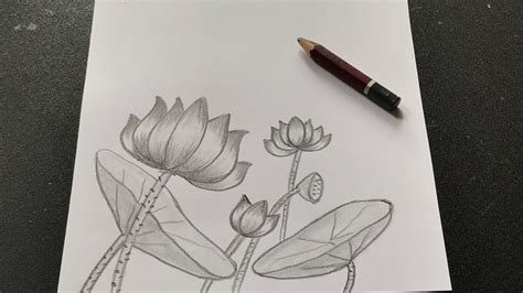 Thử Thách 16 Hình Vẽ Hoa Sen Bằng Bút Chì Tuyệt đẹp Cho Các Nghệ Sỹ Mới