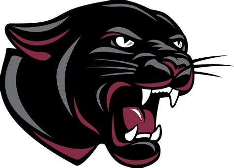 Brookwood High School Panthers Clip Art Library