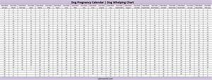 Dog Pregnancy Temperature Chart
