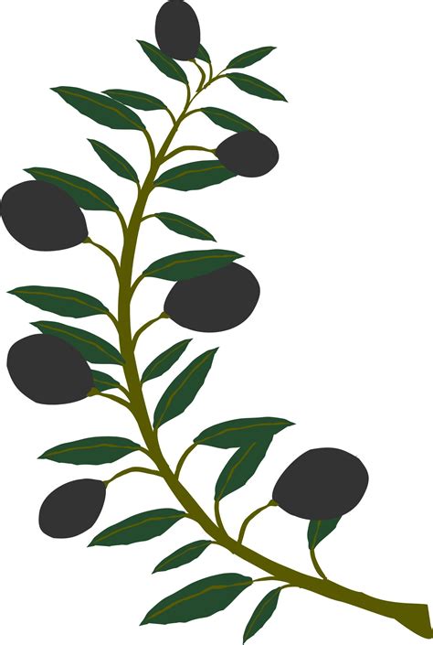 Olive Tree Icon At Collection Of Olive Tree Icon Free