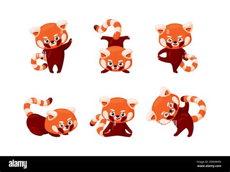 Red Panda Set Cute Baby Red Pandas Stretching And Practicing Yoga