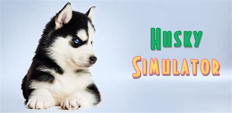 Download Husky Simulator Apk Free For Android