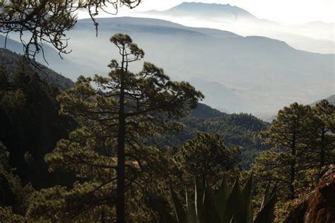 Senderismo Por La Sierra Norte De Oaxaca México