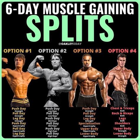 5 Day Pull Day Workout Muscle Groups For Build Muscle Fitness And