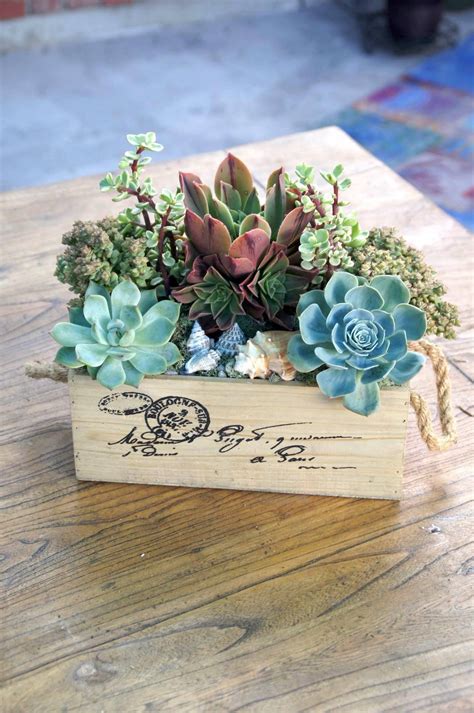21 Creative Succulent Container Gardens To Diy Or Buy Now Succulents