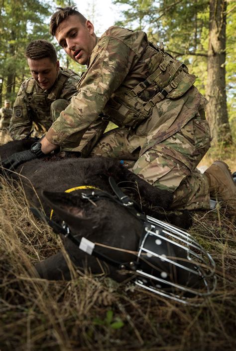 Army Best Medic Competition features military working dogs for first ...