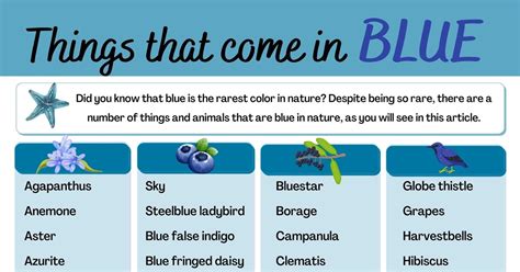 150 Awesome Things That Are Blue In Nature • 7esl