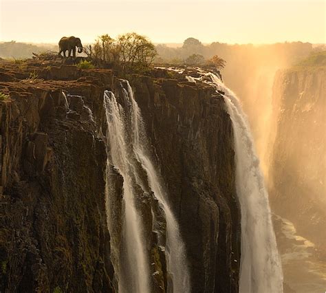 25 Breathtaking Photos Of Elephants ~ Amazing