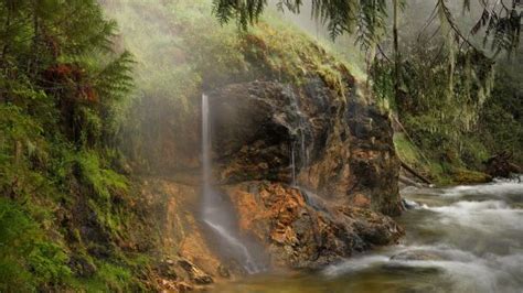 Wallpaper River Falls Wood Bright Vegetation Stream 1920x1080