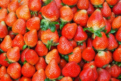 Strawberry Natural Foods Strawberries Fruit Picture Image 122204733