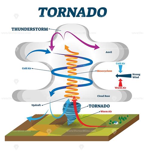 Tornado Vector Illustration Labeled Educational Wind Vortex