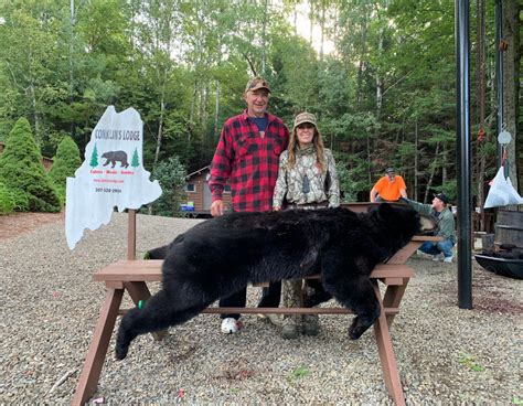 Maine Bear Hunts At Conklins Lodge And Camps