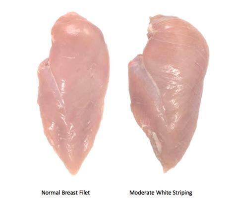 White Striping What Is White Striping In Chicken