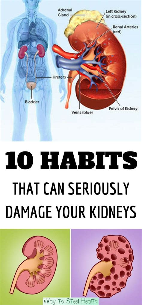 Left Kidney Pain Symptoms Causes And Treatments